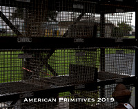 American Primitives 2019